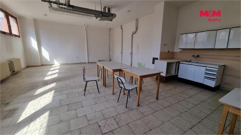 Pronájem obchodních prostor, 739 m² - 12