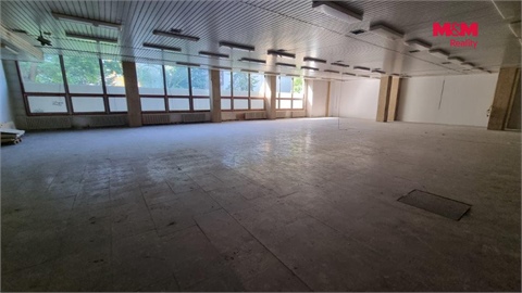 Pronájem obchodních prostor, 739 m² 10
