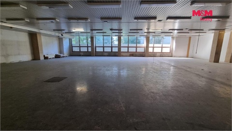 Pronájem obchodních prostor, 739 m² - 8