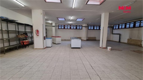 Pronájem obchodních prostor, 739 m² - 2