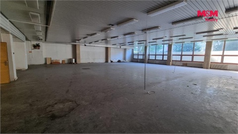 Pronájem obchodních prostor, 739 m² 8