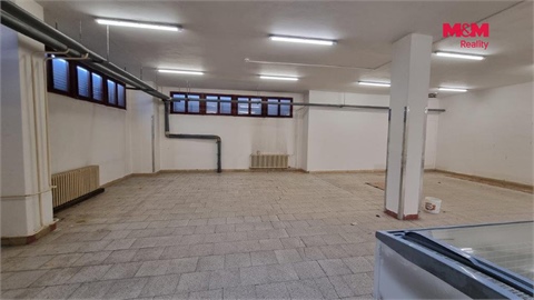 Pronájem obchodních prostor, 739 m² - 4