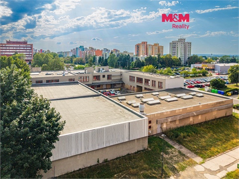 Pronájem kanceláře, 237 m²