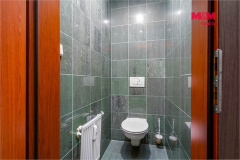 Pronájem obchodních prostor, 324 m² - 8