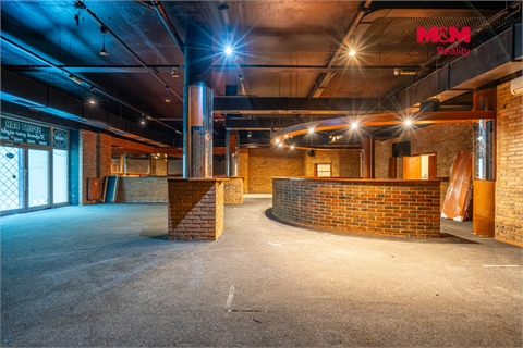 Pronájem obchodních prostor, 324 m² - 0