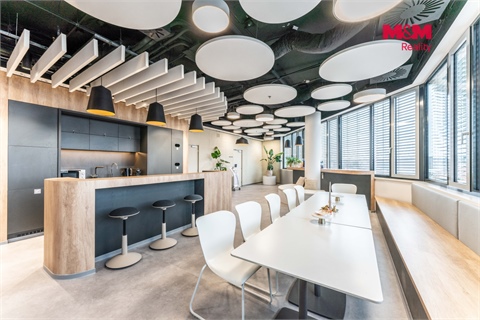 Pronájem komerčního objektu, 25 m² - 14