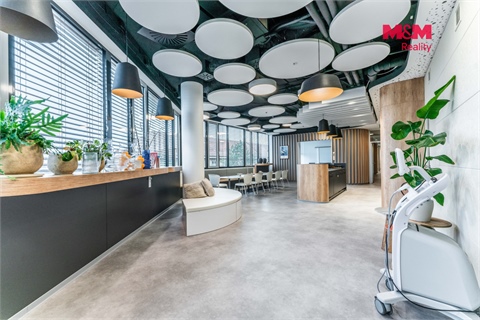 Pronájem komerčního objektu, 25 m² 16