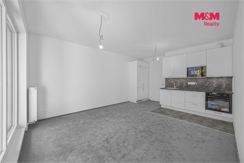 Pronájem bytu 1kk, 32 m² 4