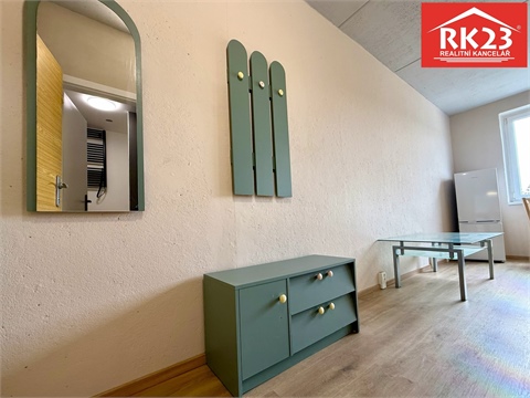 Prodej bytu 1+1, 41 m² 16