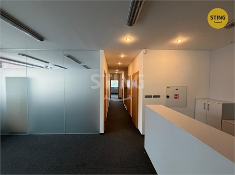 Pronájem kanceláře, 195 m² - 14