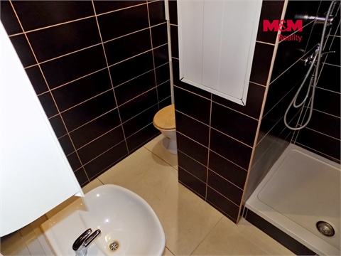 Pronájem bytu 2+1, 53 m² 8