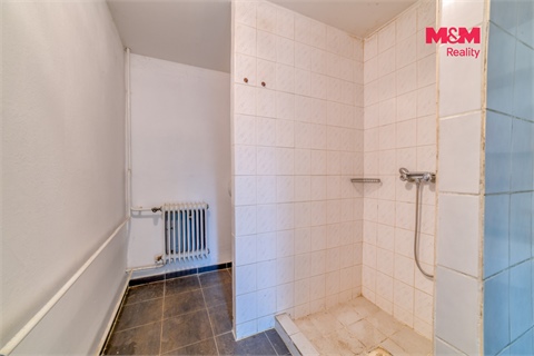 Pronájem obchodních prostor, 425 m² - 8