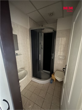 Prodej rodinného domu, 600 m² - 16