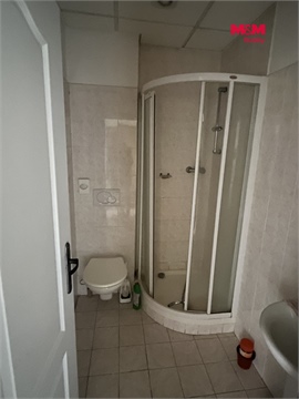 Prodej rodinného domu, 600 m² - 20