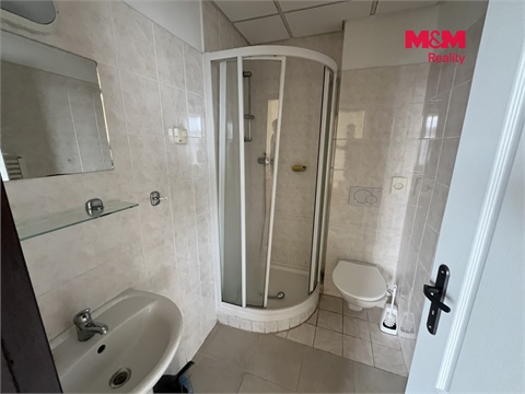 Prodej rodinného domu, 600 m² 14