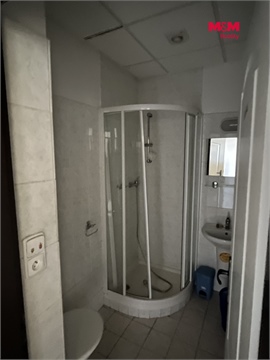 Prodej rodinného domu, 600 m² - 22