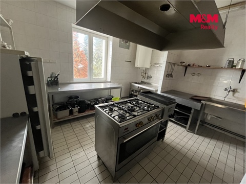Prodej rodinného domu, 600 m² - 28