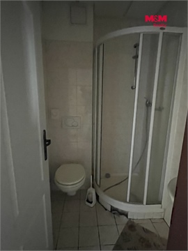 Prodej rodinného domu, 600 m² - 18