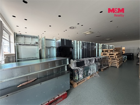 Pronájem obchodních prostor, 420 m² 10