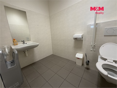 Pronájem obchodních prostor, 420 m² - 8
