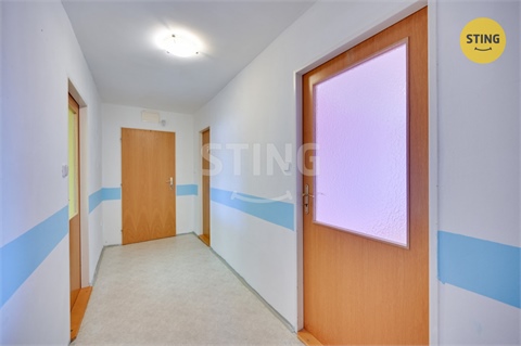 Prodej bytu 3+1, 90 m² 24