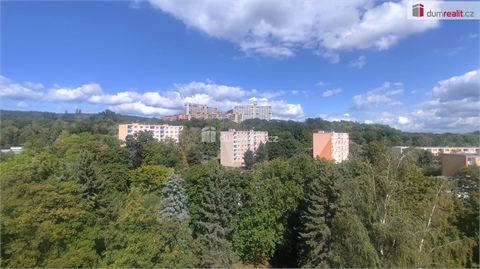 Prodej bytu 3+1, 71 m² 10