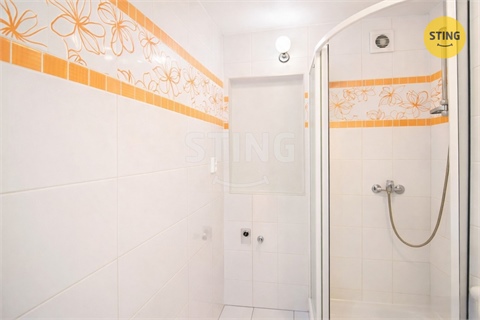 Pronájem bytu 2+1, 61 m² 12