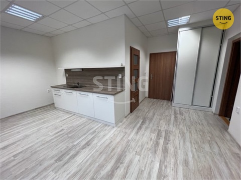 Pronájem bytu 2+1, 52 m² - 0