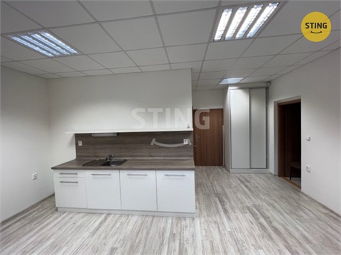 Pronájem bytu 2+1, 52 m² - 4