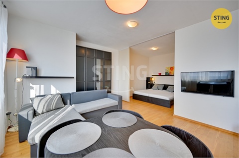 Pronájem bytu 1kk, 43 m² 4