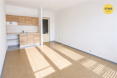 Prodej bytu 1kk, 27 m² 2