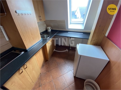 Pronájem bytu 2+1, 48 m² 4