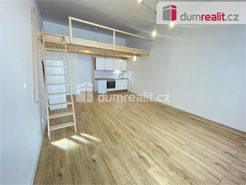 Pronájem bytu 1kk, 45 m² 4