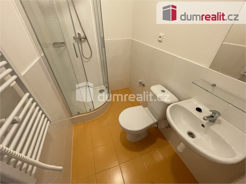 Pronájem bytu 1kk, 45 m² - 6
