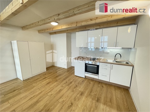 Pronájem bytu 1kk, 45 m² - 0