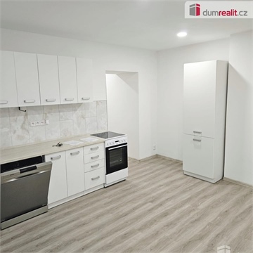 Pronájem bytu 1+1, 58 m² 0