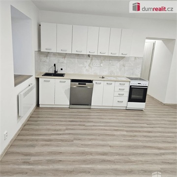 Pronájem bytu 1+1, 58 m² - 0