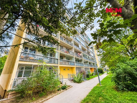 Prodej bytu 1kk, 26 m² - 6