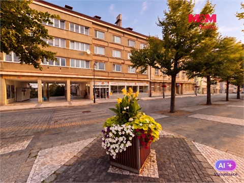 Pronájem bytu 2+1, 58 m² 4
