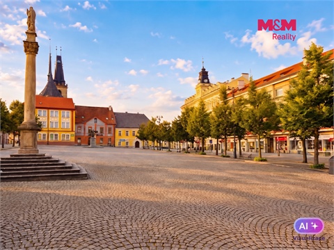 Pronájem bytu 2+1, 58 m² 6