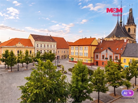 Pronájem bytu 2+1, 58 m² 8