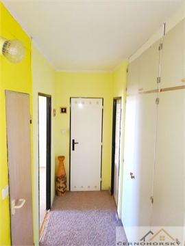 Prodej bytu 3+1, 68 m² 14