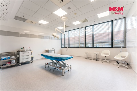 Pronájem obchodních prostor, 25 m² - 4