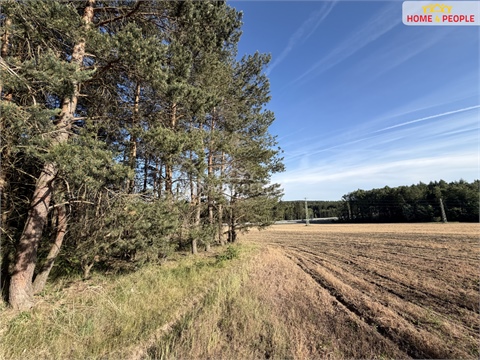 Prodej lesu, 4 000 m² - 4