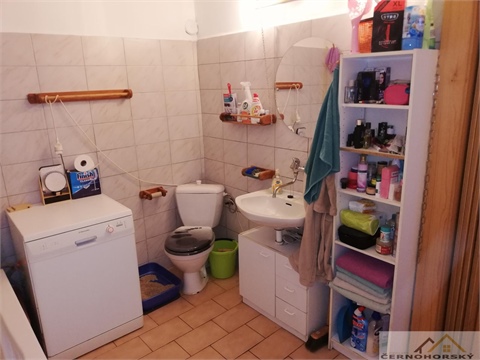Prodej rodinného domu, 250 m² - 18