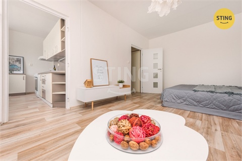 Prodej bytu 1+1, 43 m² 8