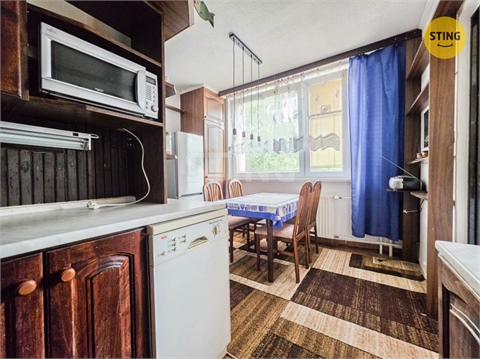Prodej bytu 3+1, 62 m² 12