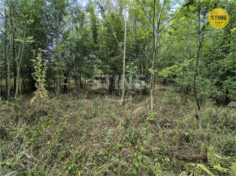 Prodej stavebního pozemku, 5 732 m² 8