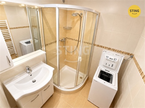 Pronájem bytu 4+1, 96 m² - 8