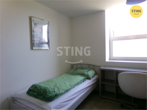 Prodej ubytování, 545 m² 12